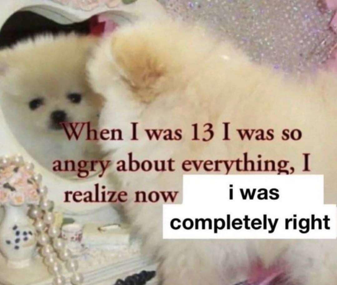 When I was 13 I was so angry about everything, I realize now i was completely right