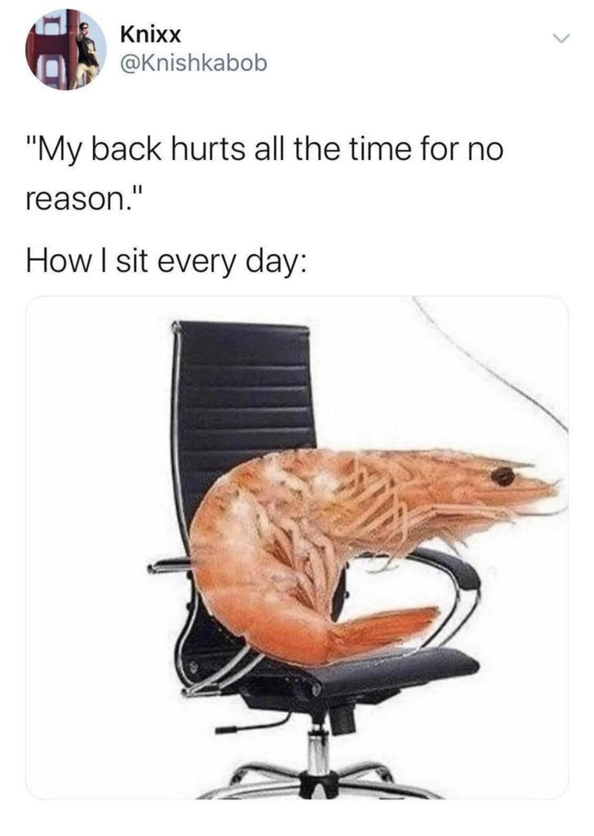 Knixx @Knishkabob "My back hurts all the time for no reason." How I sit every day: shrimp meme