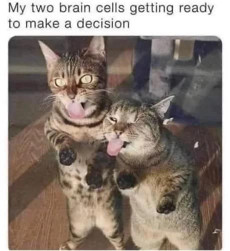 classic memes, vintage memes, viral tweets, viral memes, trending memes, old memes, meme history, meme gallery, meme nostalgia, group chat memes, shareable memes, iconic memes, internet memes, meme folder, timeless memes, classic jokes, old school memes, legendary memes, nostalgia memes, funny memes, meme culture, best memes
