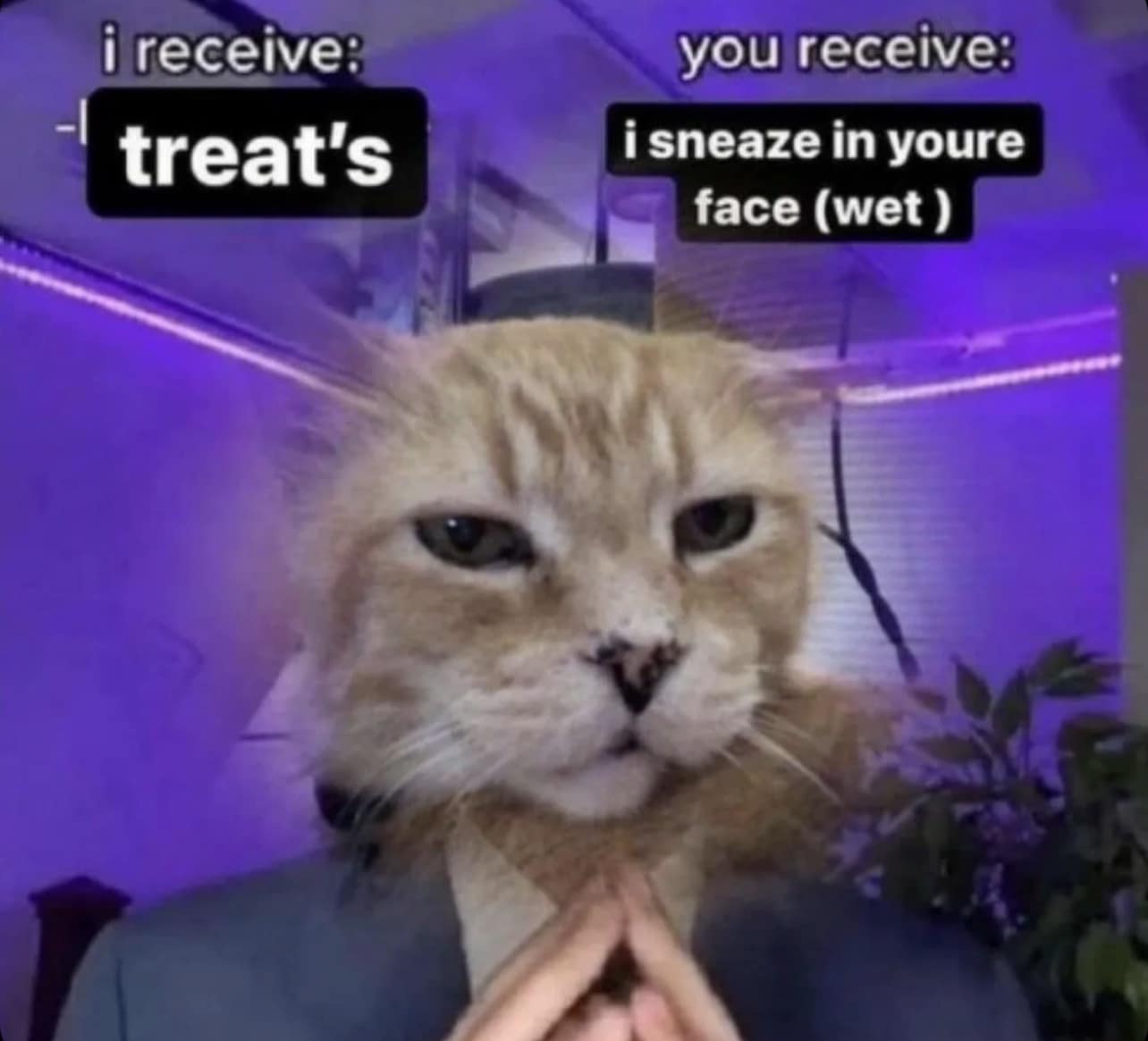 classic memes, vintage memes, viral tweets, viral memes, trending memes, old memes, meme history, meme gallery, meme nostalgia, group chat memes, shareable memes, iconic memes, internet memes, meme folder, timeless memes, classic jokes, old school memes, legendary memes, nostalgia memes, funny memes, meme culture, best memes