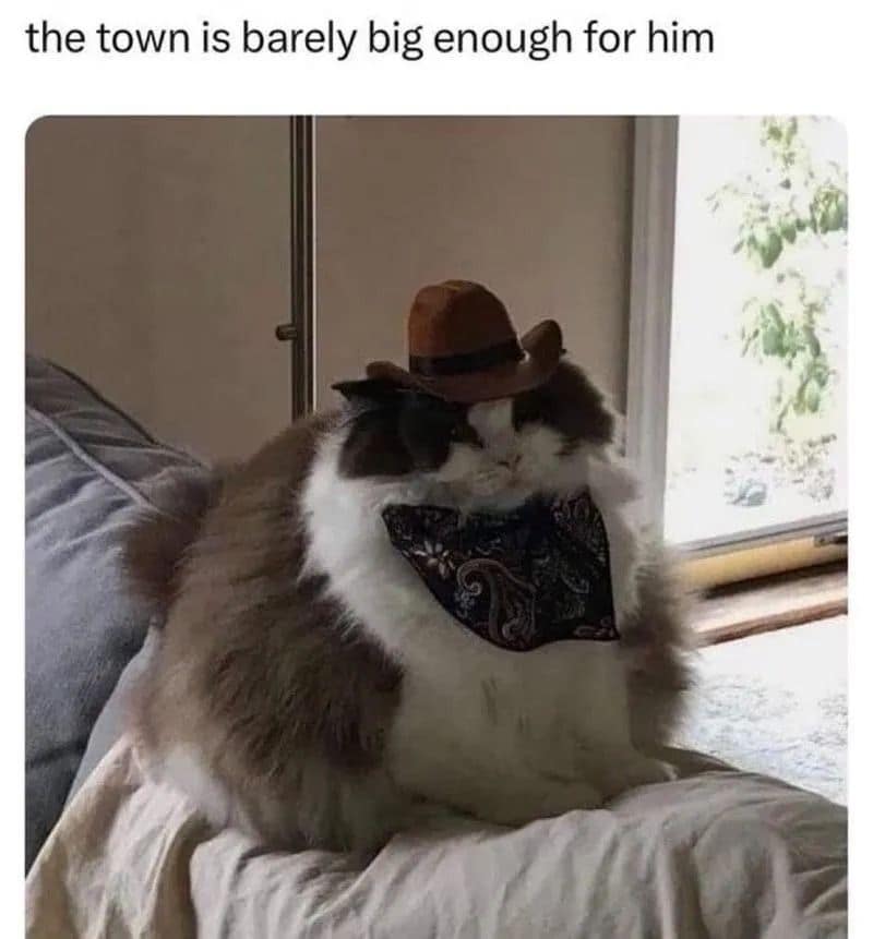 the town is barely big enough for him