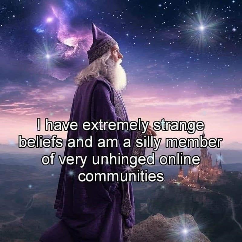 I have extremely strange beliefs and am a silly member of very unhinged online communities