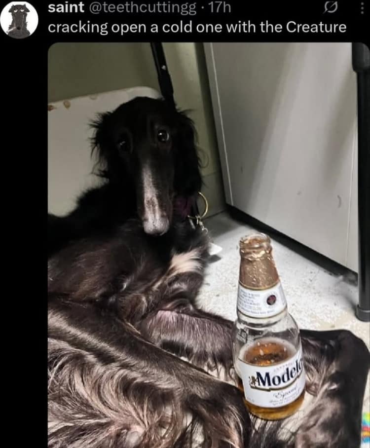 classic memes, viral tweets, vintage memes, trending memes, old memes, internet memes, meme archive, legendary memes, timeless memes, meme culture, OG memes, meme legends, meme gallery, old school memes, meme icons, shareable memes, funny tweets, evergreen memes, best memes