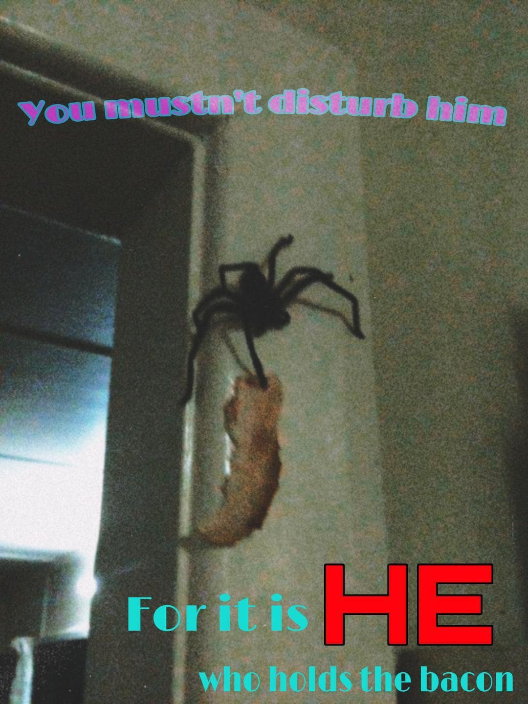 classic memes, vintage memes, viral tweets, viral memes, trending memes, old memes, internet memes, legendary memes, internet humor, funny tweets, meme archive, evergreen memes, meme nostalgia, timeless memes, meme classics, legendary tweets, OG memes, internet culture, best memes