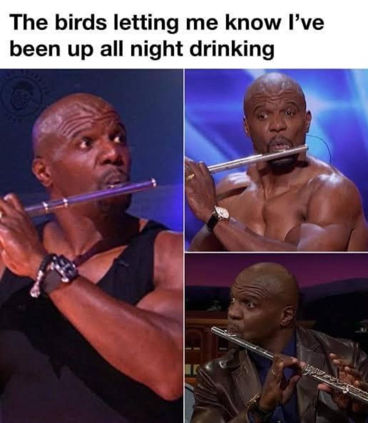 classic memes, viral tweets, vintage memes, trending memes, old memes, internet memes, meme archive, legendary memes, timeless memes, meme culture, OG memes, meme legends, meme gallery, old school memes, meme icons, shareable memes, funny tweets, evergreen memes, best memes