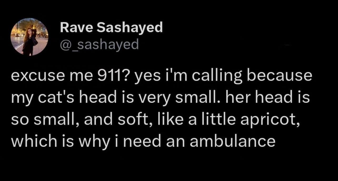 classic memes, vintage memes, viral tweets, viral memes, trending memes, old memes, internet memes, legendary memes, internet humor, funny tweets, meme archive, evergreen memes, meme nostalgia, timeless memes, meme classics, legendary tweets, OG memes, internet culture, best memes