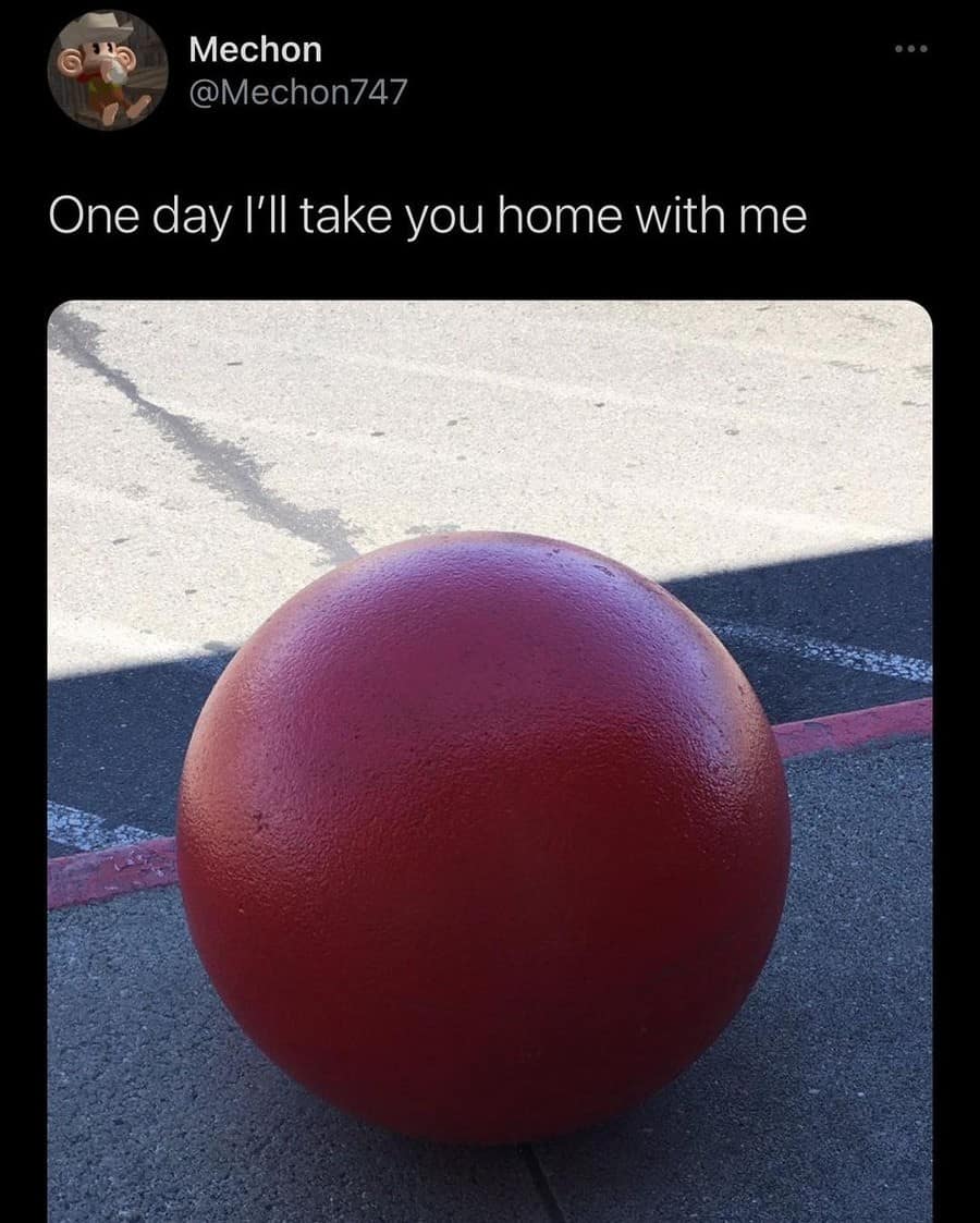 classic memes, viral tweets, vintage memes, trending memes, old memes, internet memes, meme archive, legendary memes, timeless memes, meme culture, OG memes, meme legends, meme gallery, old school memes, meme icons, shareable memes, funny tweets, evergreen memes, best memes