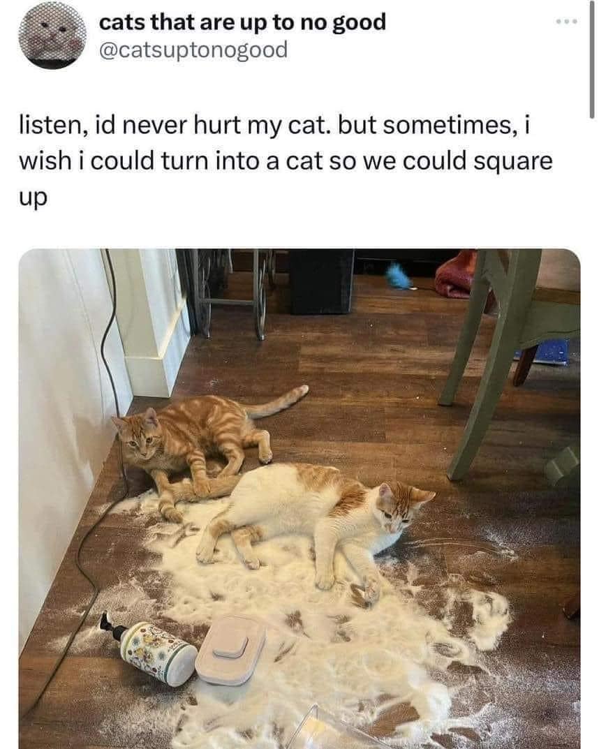 classic memes, vintage memes, viral tweets, meme nostalgia, evergreen memes, throwback memes, internet classics, legendary memes, trending posts, meme history, viral jokes, timeless memes, old memes, meme comfort food, group chat memes, nostalgia memes, retro memes, best memes, iconic memes, meme timeline, meme trends
