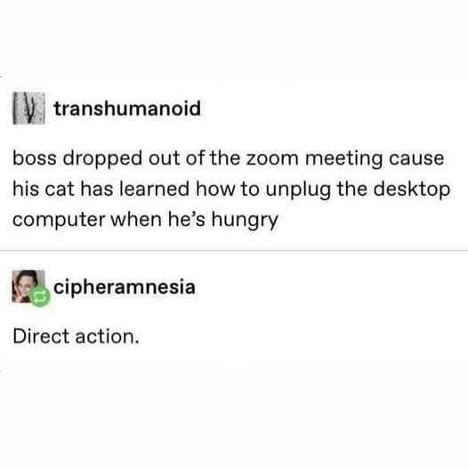 classic memes, viral tweets, vintage memes, trending memes, old memes, internet memes, meme archive, legendary memes, timeless memes, meme culture, OG memes, meme legends, meme gallery, old school memes, meme icons, shareable memes, funny tweets, evergreen memes, best memes