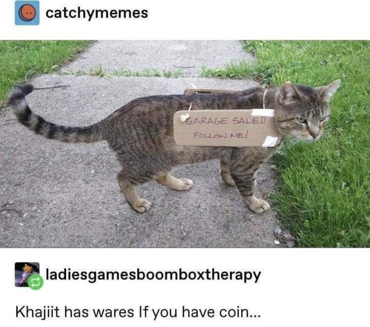 classic memes, vintage memes, viral tweets, viral memes, trending memes, old memes, meme history, meme folder, evergreen memes, meme gallery, group chat memes, legendary memes, iconic memes, internet memes, best memes, meme nostalgia, funny memes, old school memes, timeless memes, meme culture, meme collection, shareable memes