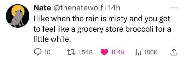 classic memes, vintage memes, viral tweets, timeless memes, older memes, internet staples, tweet nostalgia, short comedic lines, vintage viral humor, forever-laugh jokes, net relics, best memes, old memes