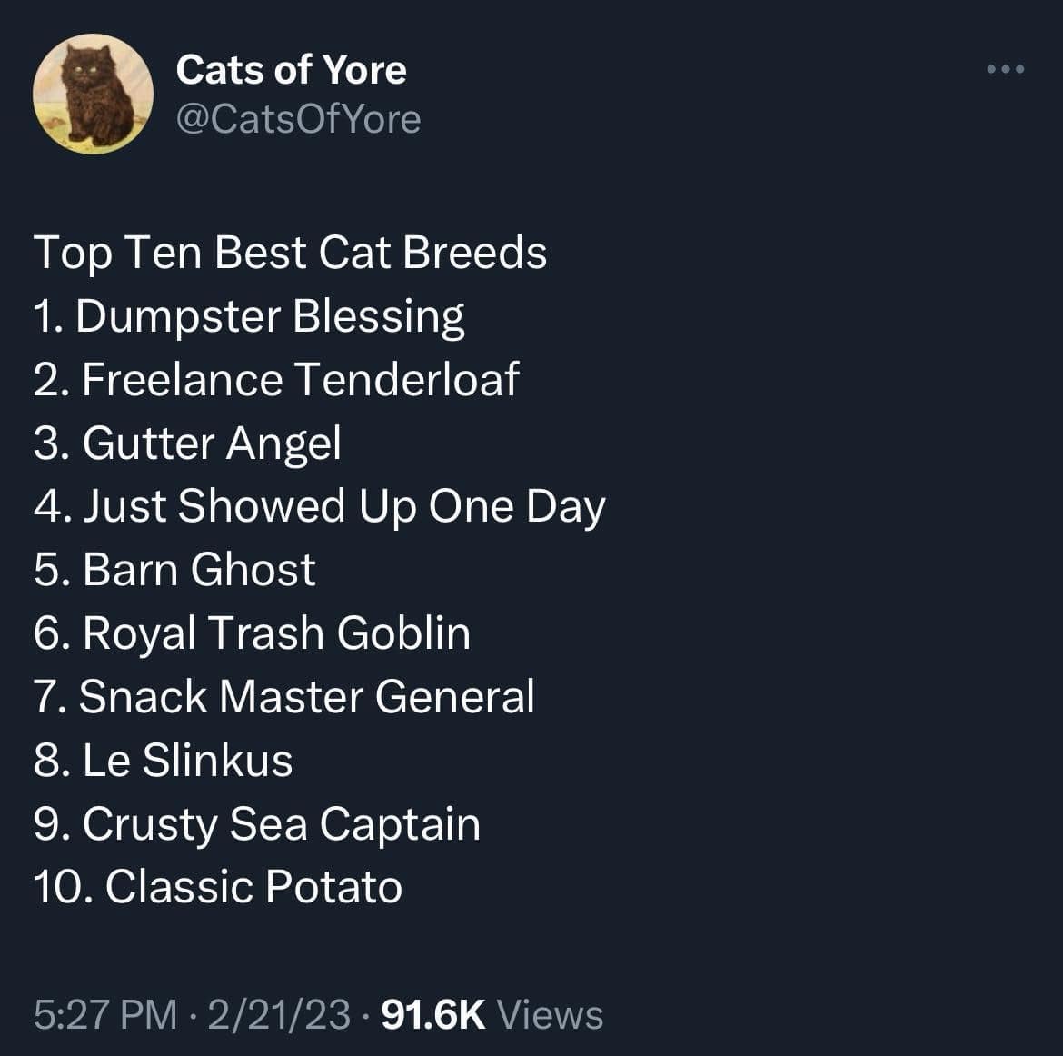 Cats of Yore @CatsOfYore • • • Top Ten Best Cat Breeds 1. Dumpster Blessing 2. Freelance Tenderloaf 3. Gutter Angel 4. Just Showed Up One Day 5. Barn Ghost 6. Royal Trash Goblin 7. Snack Master General 8. Le Slinkus 9. Crusty Sea Captain 10. Classic Potato 5:27 PM • 2/21/23 • 91.6K Views