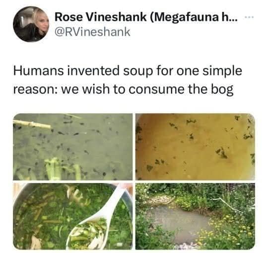 Rose Vineshank (Megafauna h... @RVineshank Humans invented soup for one simple reason: we wish to consume the bog
