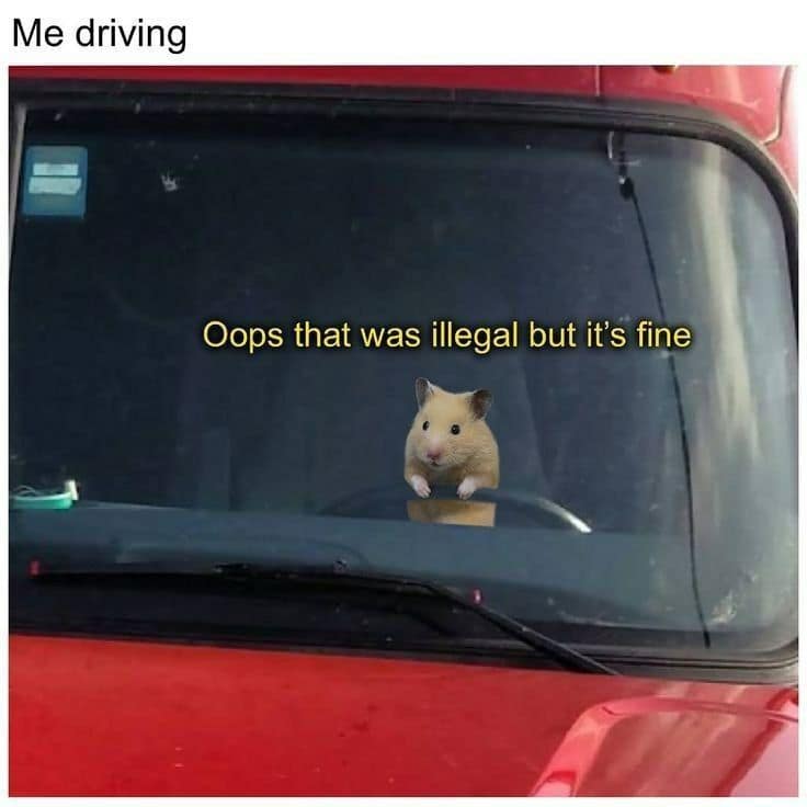 Me driving Oops that was illegal but it's fine