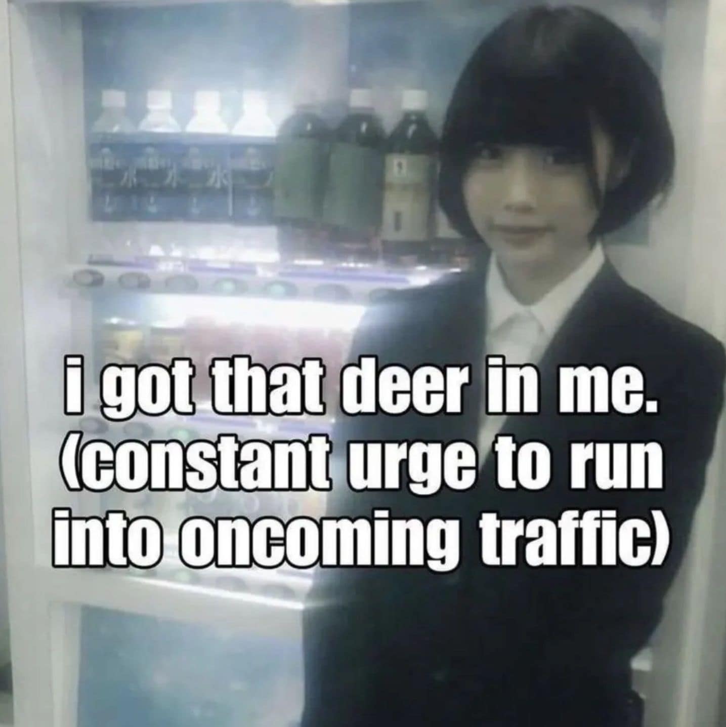 i got that deer in me. (constant urge to run into oncoming traffic)