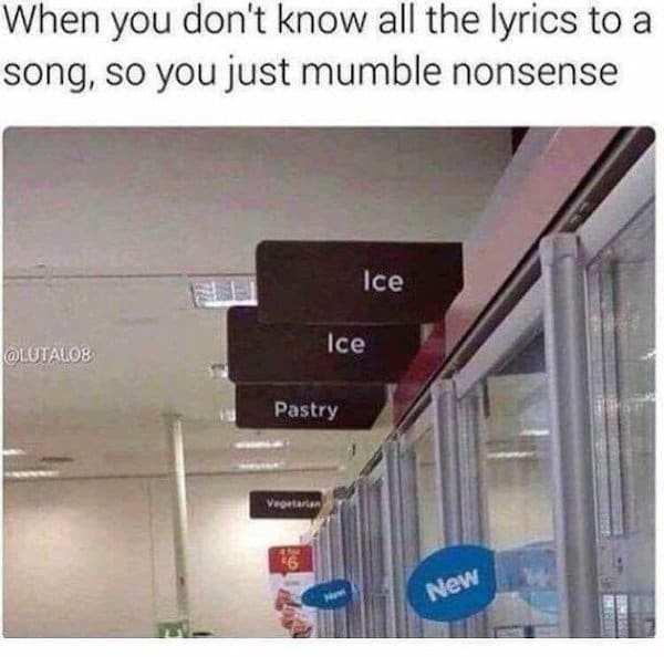 When you don't know all the lyrics to a song, so you just mumble nonsense Ice @LUTALOB Ice Pastry New