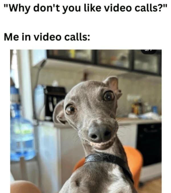 "Why don't you like video calls?" Me in video calls: