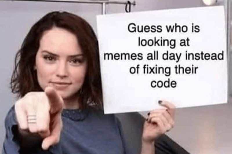 Guess who is looking at memes all day instead of fixing their code