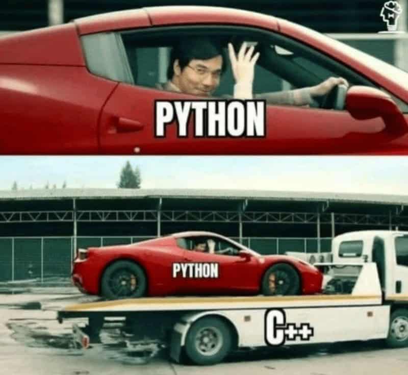 PYTHON 2BANE PYTHON Cot