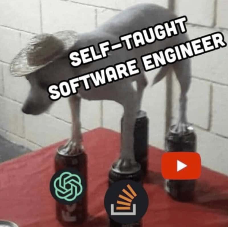 SELF-TAUGHT SOFTWARE ENGINEER