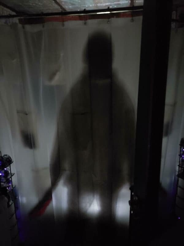 cursed images, viral pics, weird photos, internet oddities, trending cursed memes, cursed memes, bizarre photos, meme classics, nightmare fuel, awkward animal photos, cursed food, viral photos, visual jokes, image dump, internet legends, creepy memes, unhinged memes, funny images, meme scroll, chaos pics