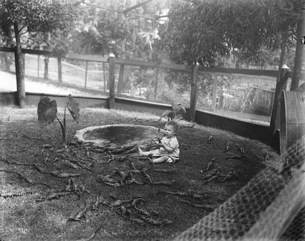 cursed images, viral pics, weird photos, internet oddities, trending cursed memes, cursed memes, bizarre photos, meme classics, nightmare fuel, awkward animal photos, cursed food, viral photos, visual jokes, image dump, internet legends, creepy memes, unhinged memes, funny images, meme scroll, chaos pics