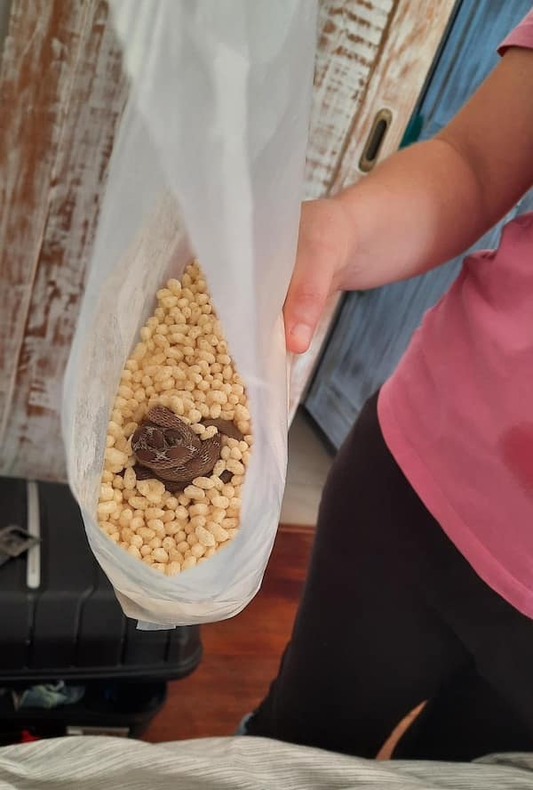 cursed images, viral pics, weird photos, internet oddities, trending cursed memes, cursed memes, bizarre photos, meme classics, nightmare fuel, awkward animal photos, cursed food, viral photos, visual jokes, image dump, internet legends, creepy memes, unhinged memes, funny images, meme scroll, chaos pics