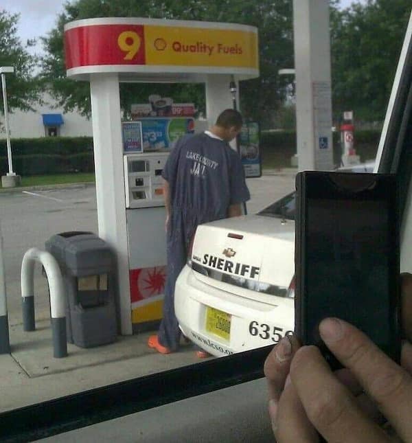 cursed images, viral pics, weird photos, internet oddities, trending cursed memes, cursed memes, bizarre photos, meme classics, nightmare fuel, awkward animal photos, cursed food, viral photos, visual jokes, image dump, internet legends, creepy memes, unhinged memes, funny images, meme scroll, chaos pics