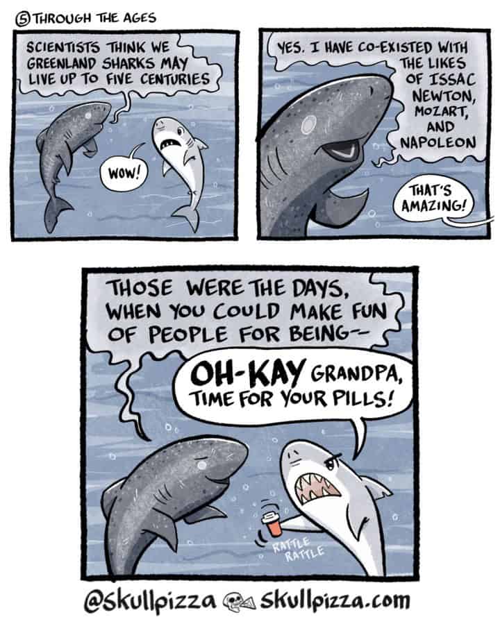 dark humor comics, skullpizza, SkullPizza comics, Steve Lewis art, black comedy comics, twisted comics, sarcasm comics, bleak humor, savage comics, morbid comics, dark jokes, internet comics, group chat comics, pain comics, edgy comics, wicked humor, awkward comics, uncomfortable laughs, relatable comics, adult comics, comic strip humor