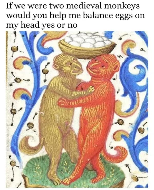 If we were two medieval monkeys would you help me balance eggs on my head yes or no