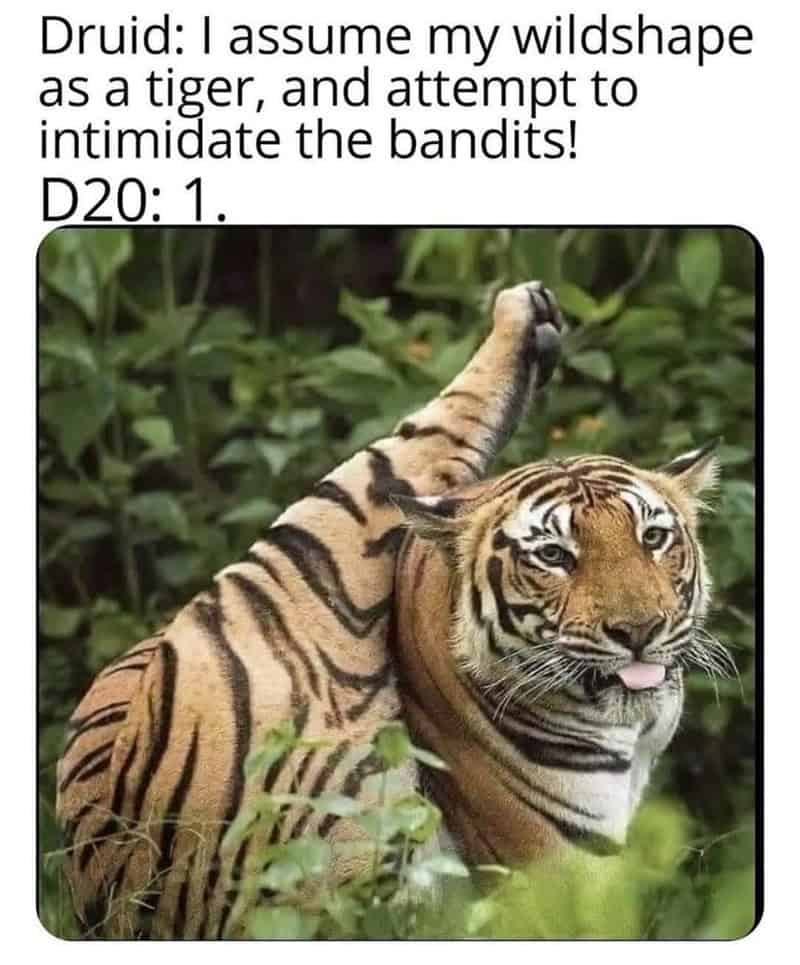 dnd memes, d&d memes, dungeons & dragons memes, RPG memes, tabletop memes, campaign memes, funny DnD memes, dice memes, DM memes, player memes, group chat memes, nerd memes, fantasy memes, critical hit memes, nat 20 memes, roleplaying memes, TPK memes, bard memes, rogue memes, chaotic memes, gaming memes, adventure memes