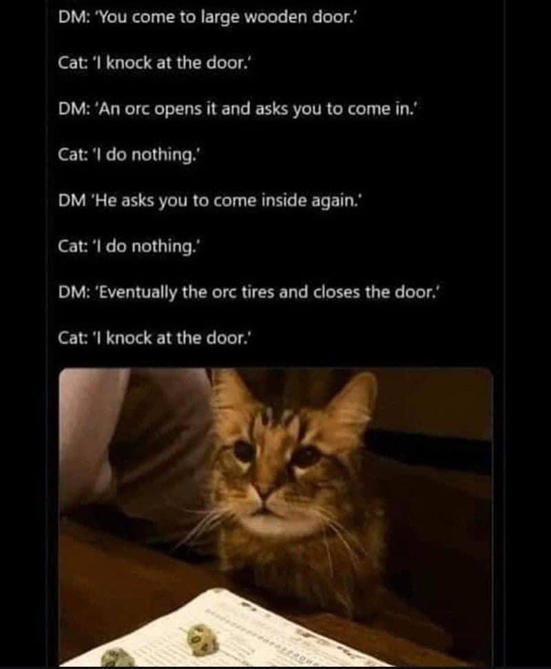 dnd memes, d&d memes, dungeons & dragons memes, RPG memes, tabletop memes, campaign memes, funny DnD memes, dice memes, DM memes, player memes, group chat memes, nerd memes, fantasy memes, critical hit memes, nat 20 memes, roleplaying memes, TPK memes, bard memes, rogue memes, chaotic memes, gaming memes, adventure memes