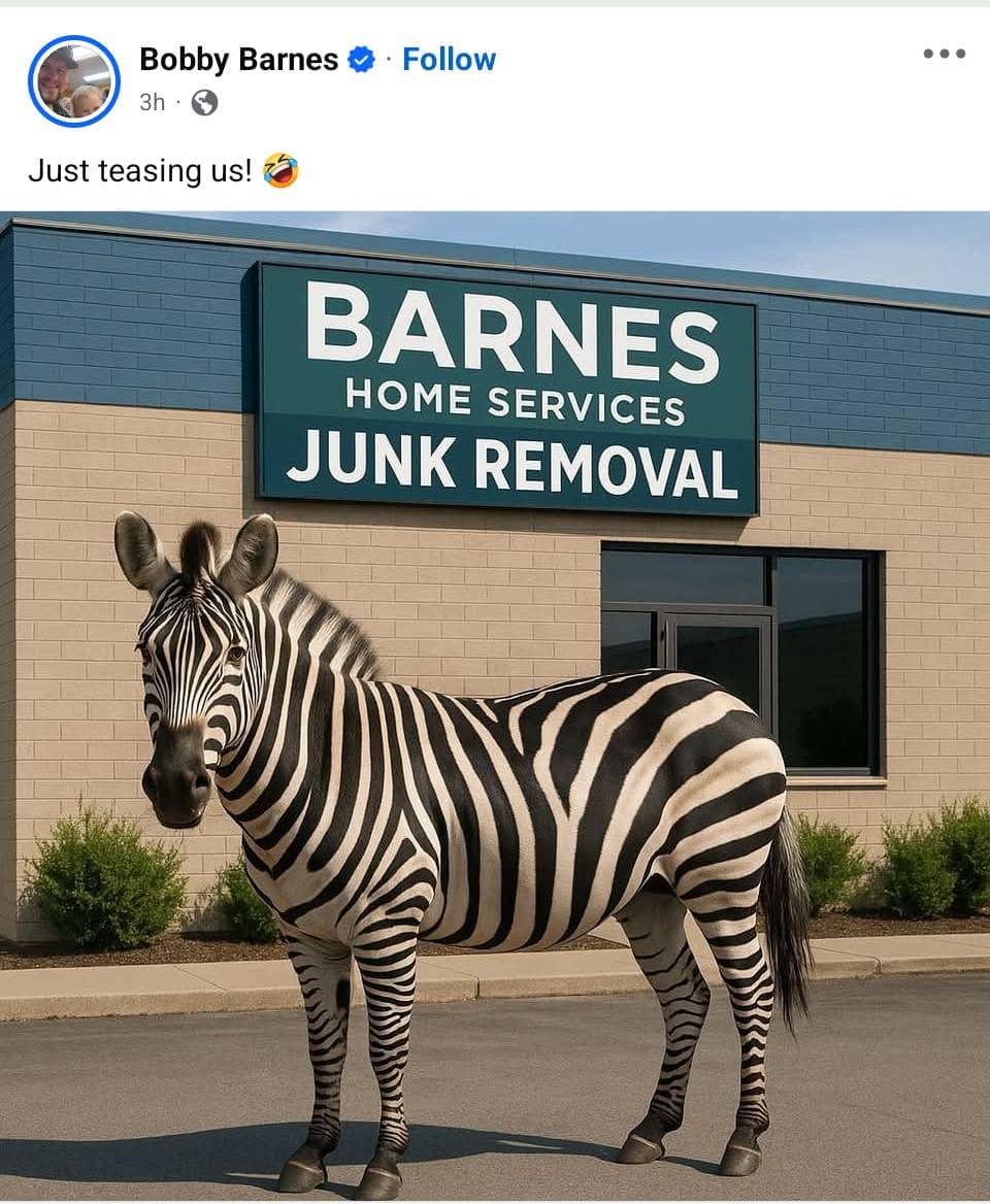 Ed the zebra memes, ed the zebra, zebra escape memes, runaway zebra memes, escaped zebra memes, animal airlift memes, helicopter animal rescue memes, dangling animal jokes, tennessee zebra, zebra sighting tennessee, zebra highway video