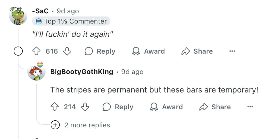 Ed the zebra memes, ed the zebra, zebra escape memes, runaway zebra memes, escaped zebra memes, animal airlift memes, helicopter animal rescue memes, dangling animal jokes, tennessee zebra, zebra sighting tennessee, zebra highway video