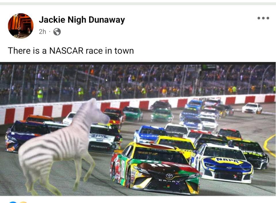 Ed the zebra memes, ed the zebra, zebra escape memes, runaway zebra memes, escaped zebra memes, animal airlift memes, helicopter animal rescue memes, dangling animal jokes, tennessee zebra, zebra sighting tennessee, zebra highway video