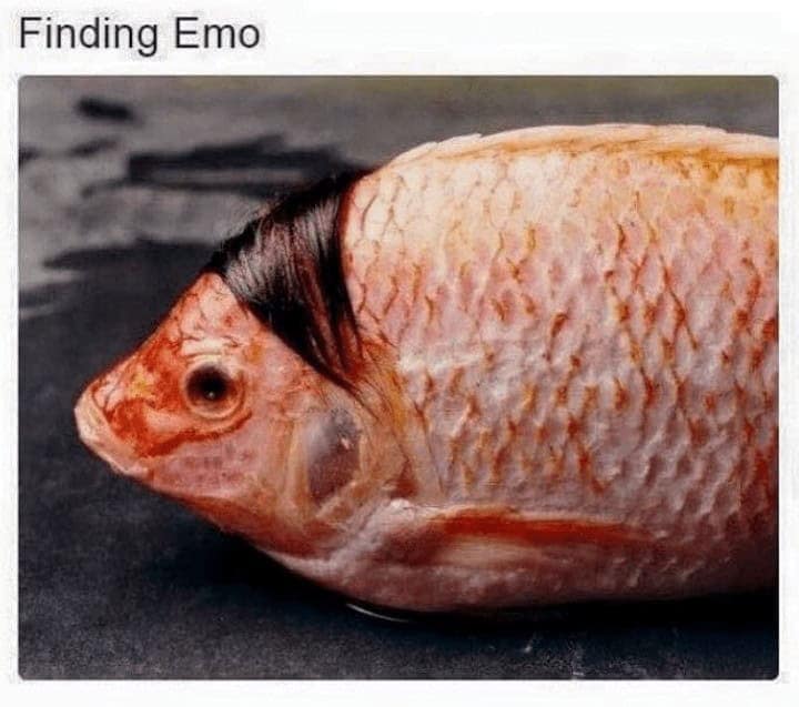 Finding Emo