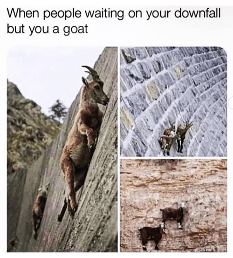 enlightenment memes, spiritual memes, mindfulness memes, meditation memes, trending memes, viral memes, funny memes, inner peace memes, awakening memes, zen memes, yoga memes, relatable memes, self-care memes, spiritual humor, group chat memes, funny spiritual memes, cosmic memes, higher self memes, positive memes, meme gallery