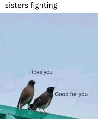 sisters fighting I love you Good for you