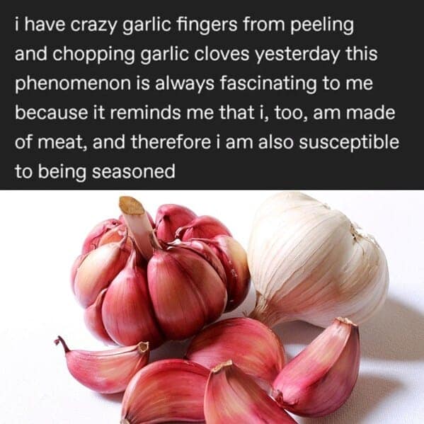 food memes, funny food memes, eating memes, snack memes, culinary meme, hilarious eating memes, amusing snack memes, entertaining culinary memes, cooking memes, kitchen memes, cooking fails memes, culinary disaster memes, dieting memes, diet humor memes, weight-loss memes, funny dieting memes