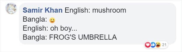 English: mushroom Bangla: g English: oh boy... Bangla: FROG'S UMBRELLA