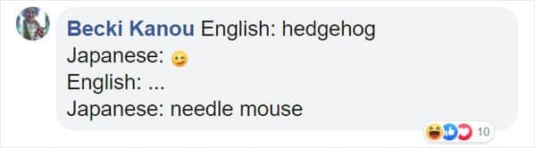 English: hedgehog Japanese: o English: ... Japanese: needle mouse