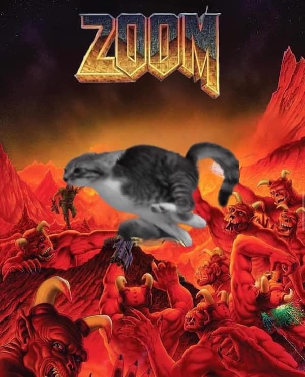 funny cat memes, cat memes, cat jokes, internet memes, pet memes, cute memes, cat owner memes, funny memes, feline memes, chaos memes, meme gallery, cat fails, animal lover memes, cat pics, meow memes