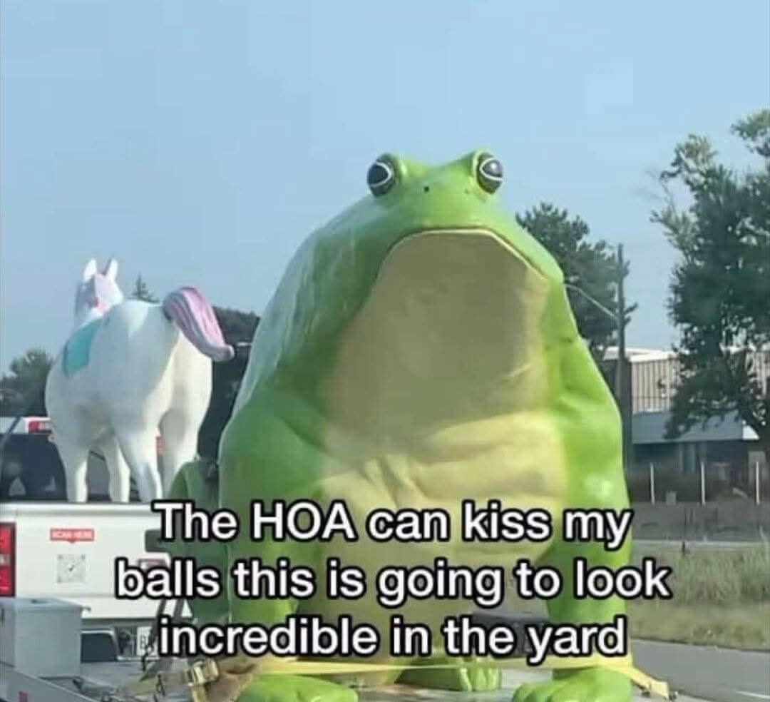 The HOA can kiss my balls this is going to look incredible in the yard