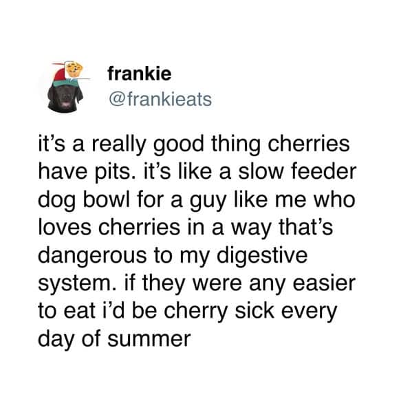 it's a really good thing cherries have pits. it's like a slow feeder dog bowl for a guy like me who loves cherries in a way that's dangerous to my digestive system. if they were any easier to eat i'd be cherry sick every day of summer