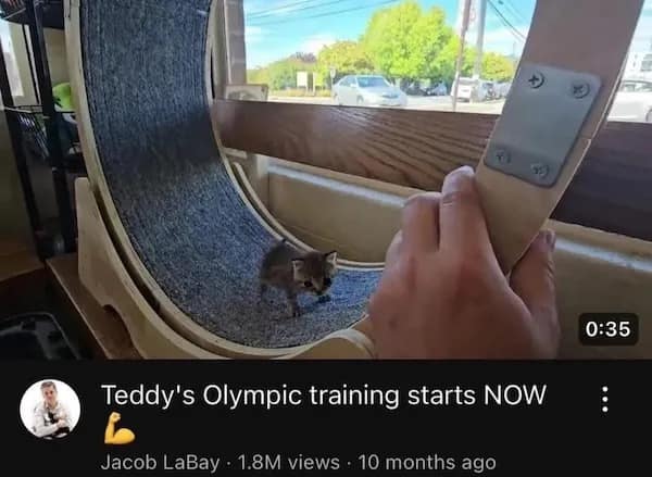 Teddy's Olympic training starts NOW