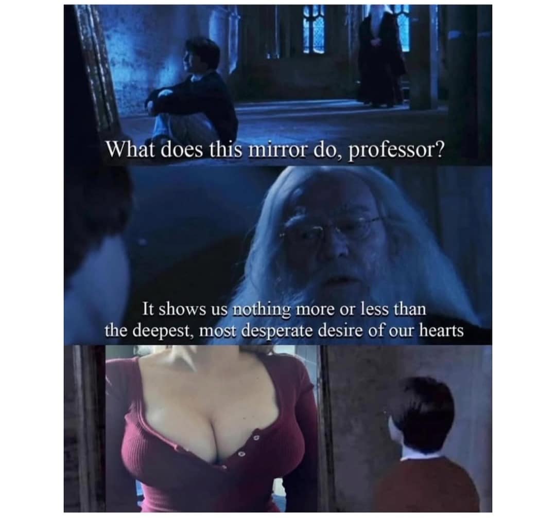 What does this mirror do, professor? It shows us nothing more or less than the deepest, most desperate desire of our hearts