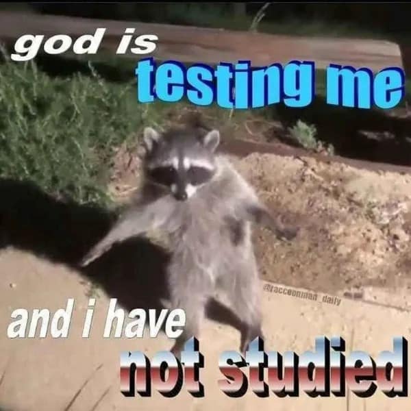 god is testing me Bracceonian and i have wostwall