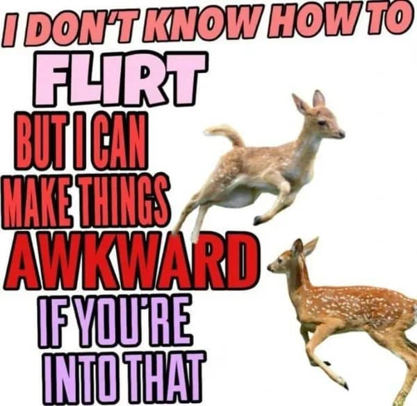DON'T KNOW HOW TO FLIRT BUTICAN MAKE THINGS AWKWARD IF YOURE INTO THAT