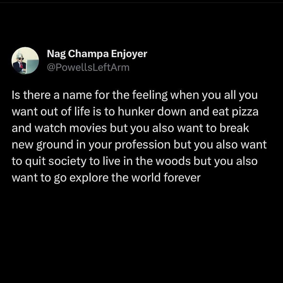 Is there a name for the feeling when you all you want out of life is to hunker down and eat pizza and watch movies but you also want to break new ground in your profession but you also want to quit society to live in the woods but you also want to go explore the world forever