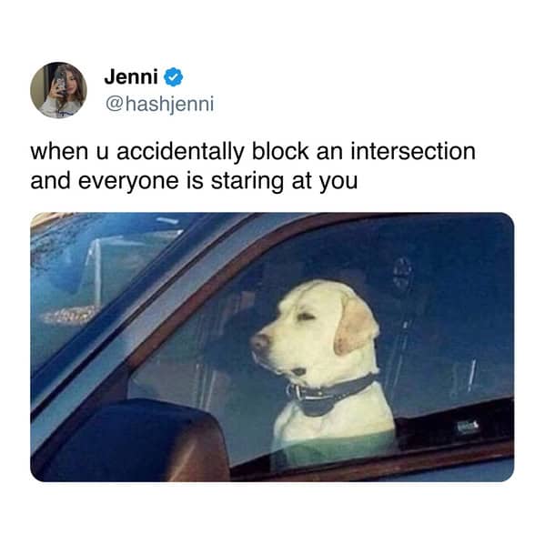 when u accidentally block an intersection and everyone is staring at you